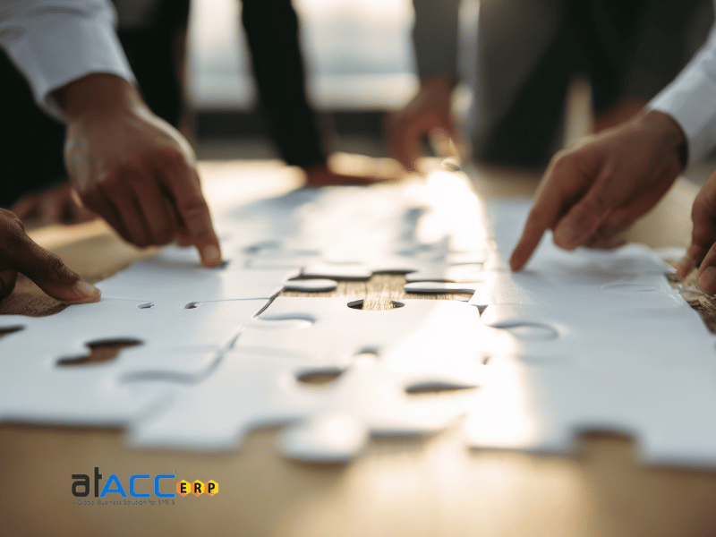 Global ERP Partnership